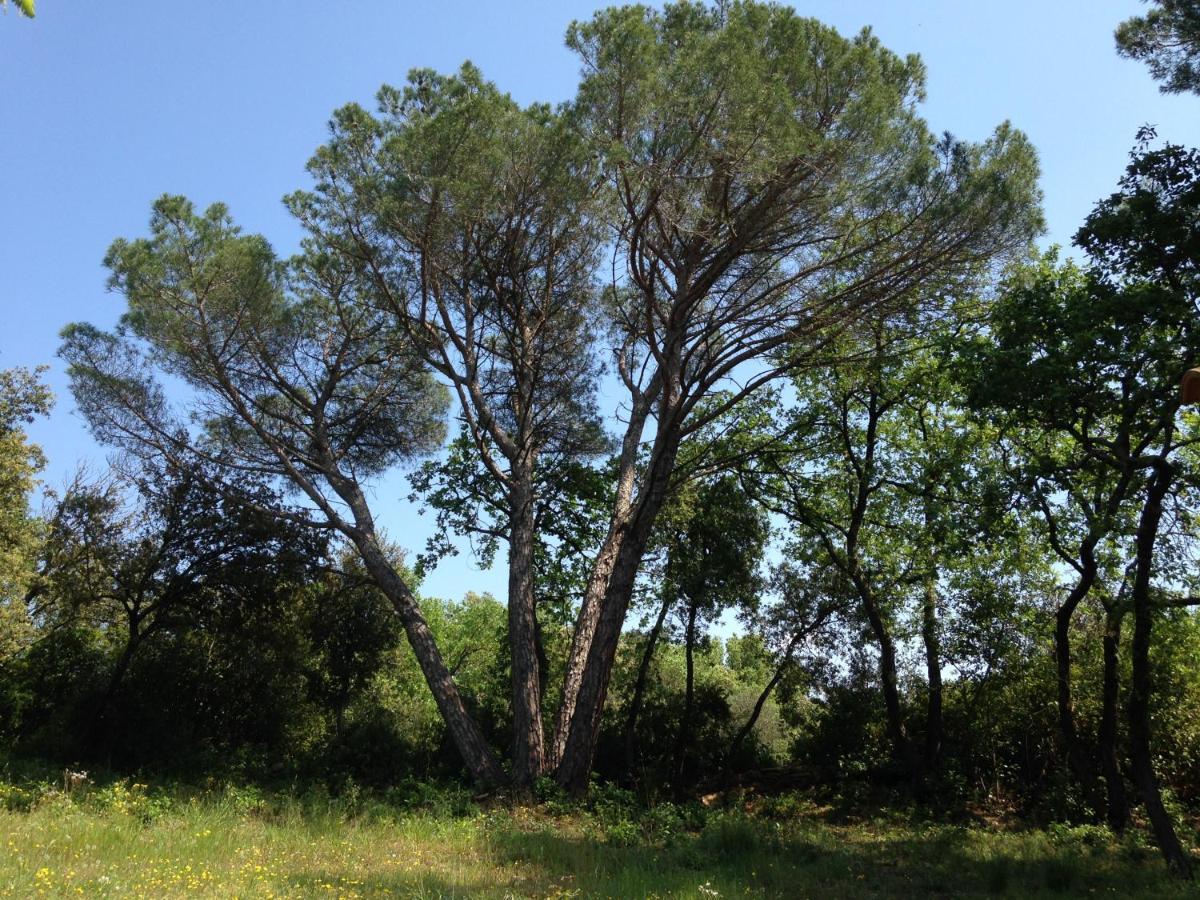 Les Marguerites Panzió Vers Pont du Gard Kültér fotó